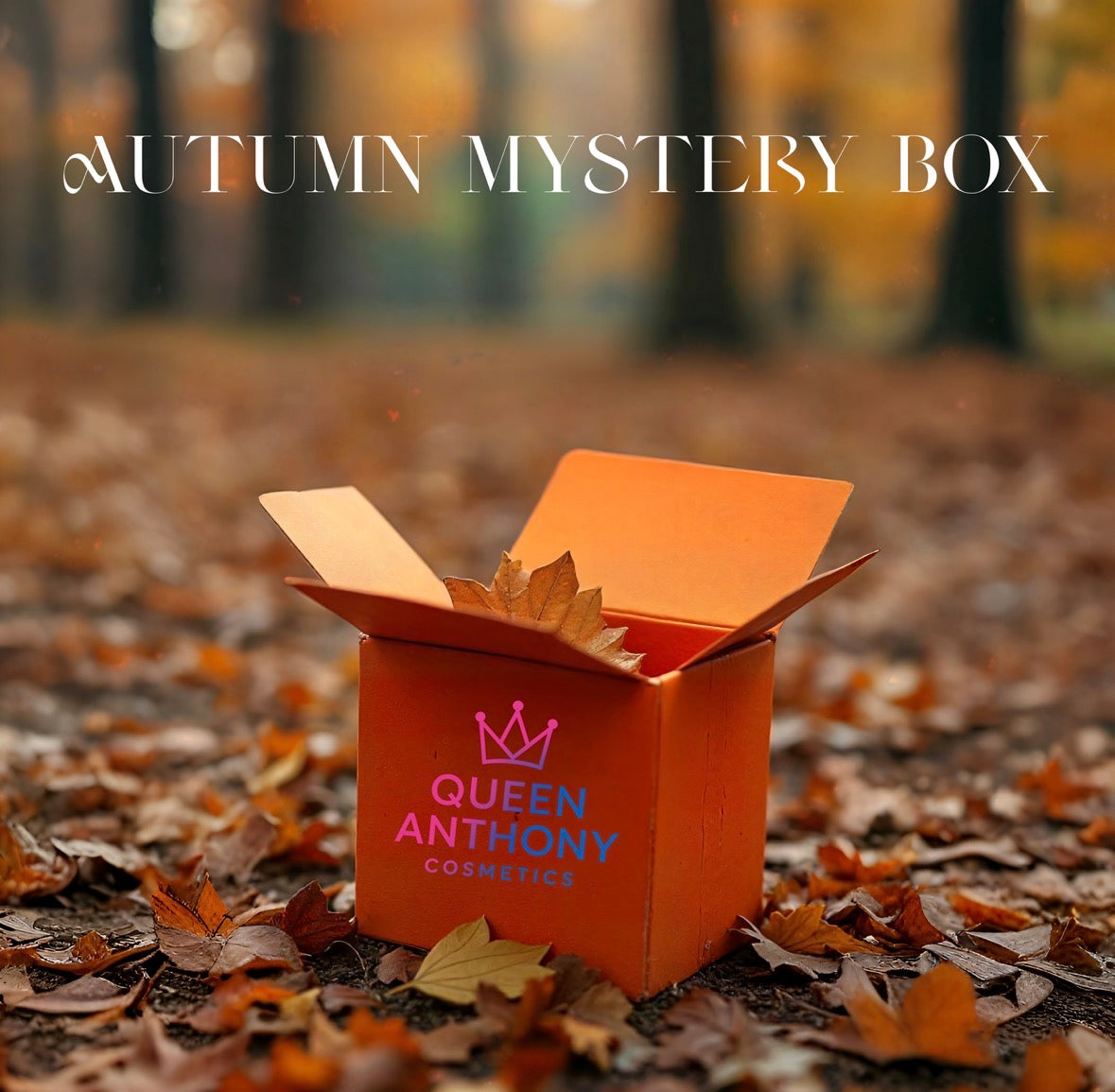 π Autumn Mystery Boxπ