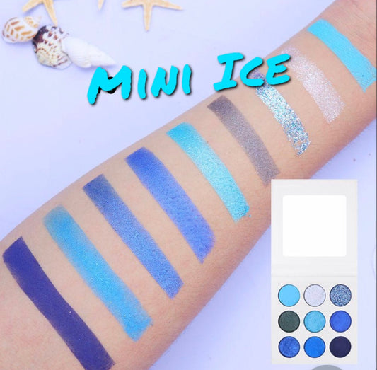 Mini Ice eyeshadow Palette ❄️